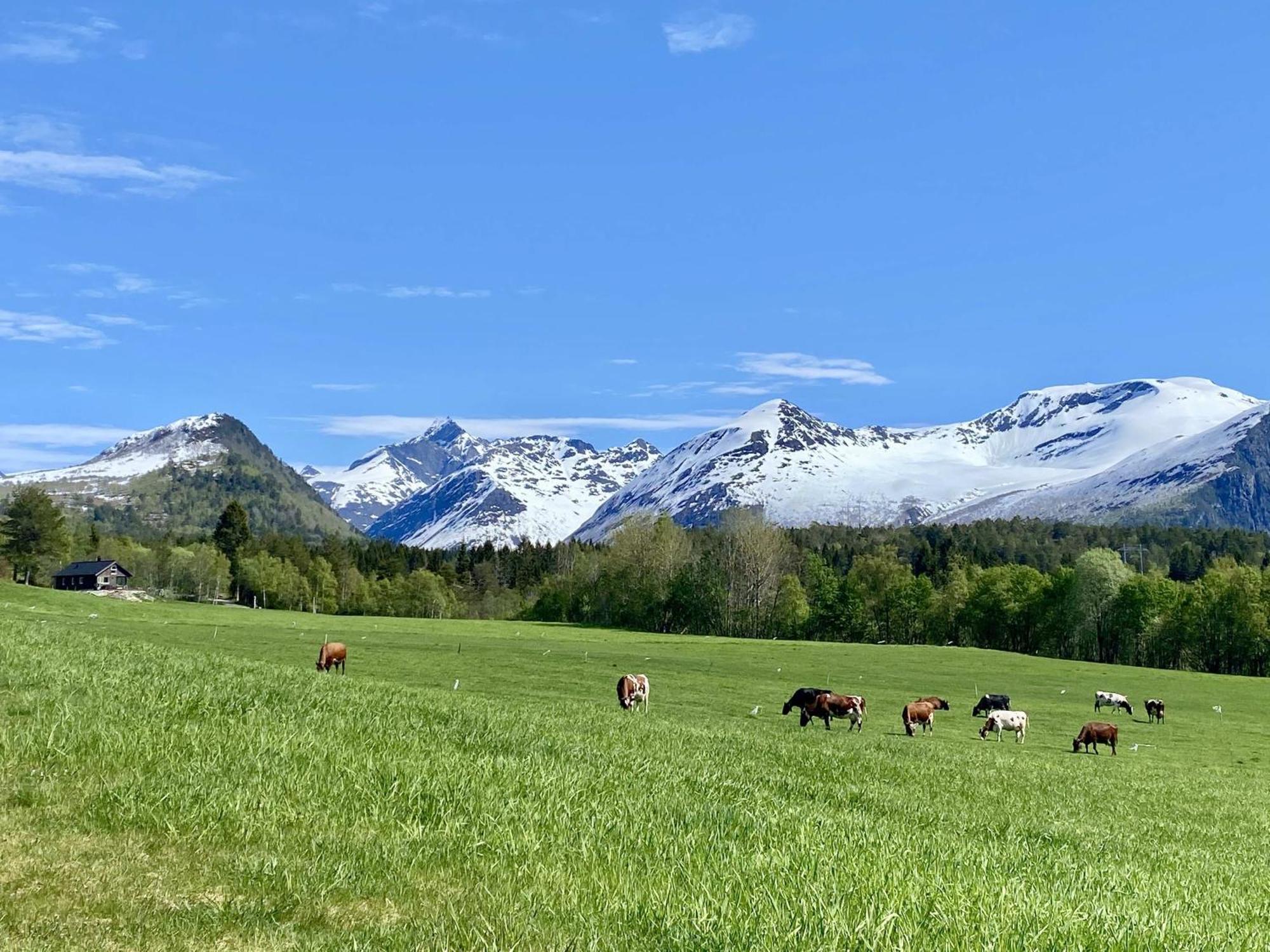 Вилла Heinali Hytta Isfjorden Экстерьер фото